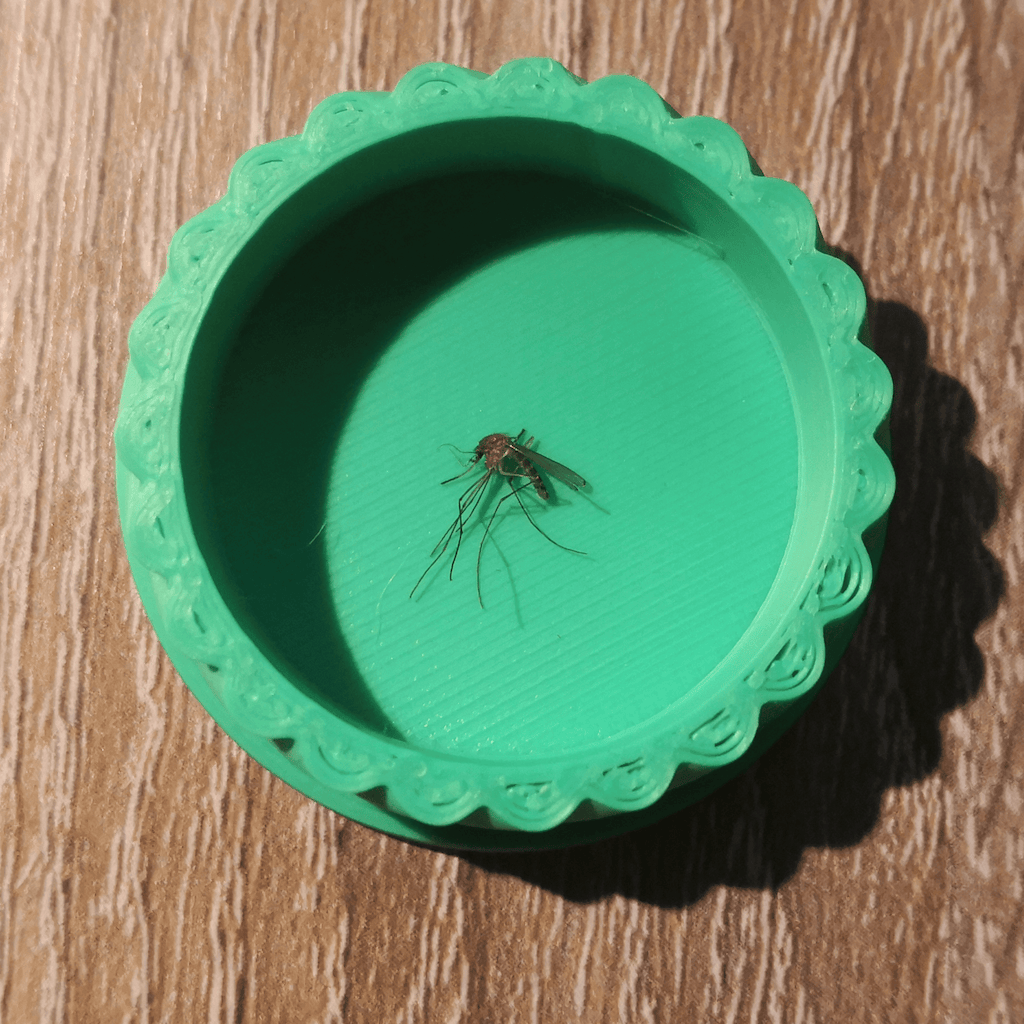 The printed screw box with a dead mosquito inside.