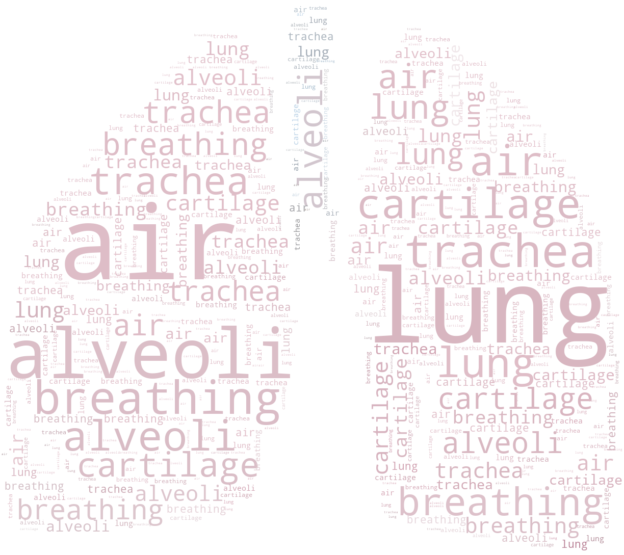 Wordcloud with a Lung and Trache Mask